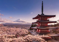 Pyramid Mount Fuji Blossom Affiche 140x100cm | Yourdecoration.fr
