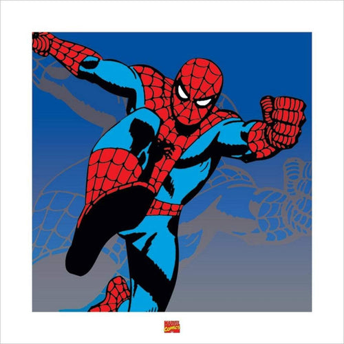 Pyramid Spider Man Marvel affiche art 40x40cm | Yourdecoration.fr