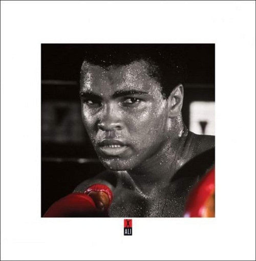 Pyramid Muhammad Ali Boxing Gloves affiche art 40x40cm | Yourdecoration.fr