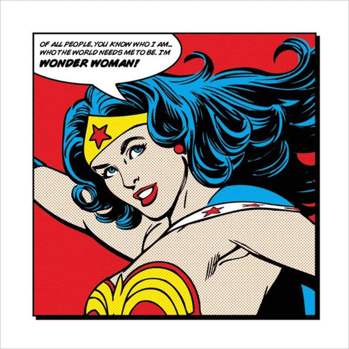 Pyramid Wonder Woman of all People affiche art 40x40cm | Yourdecoration.fr