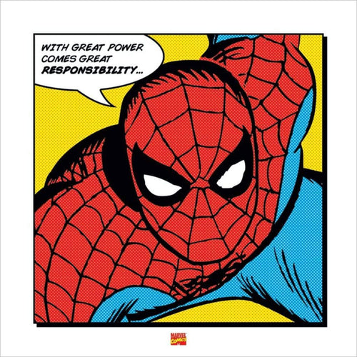 Pyramid Spider Man With Great Power affiche art 40x40cm | Yourdecoration.fr