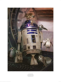 Pyramid Star Wars The Last Jedi R2D2 and Porgs affiche art 60x80cm | Yourdecoration.fr