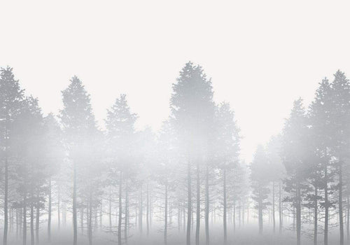 Komar Silver Haze Papier Peint Intissé 400x280cm 8 bandes | Yourdecoration.fr