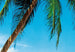 Papier Peint - Ile Tropicale 366x254cm - Papier