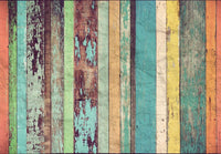 Papier Peint - Colored Wooden Wall 366x254cm - Papier