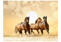 Papier Peint - Running Paarden 250x193cm - Intissé