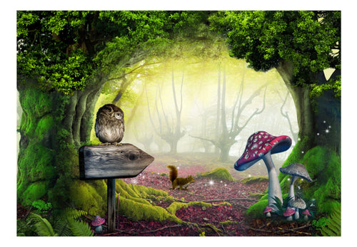 Papier Peint - Owlish Corner - Intissé