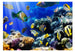 Papier Peint - Underwater Adventure - Intissé