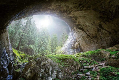 Wizard+Genius Cave In The Forest Papier Peint Intissé 384x260cm 8 bandes | Yourdecoration.fr