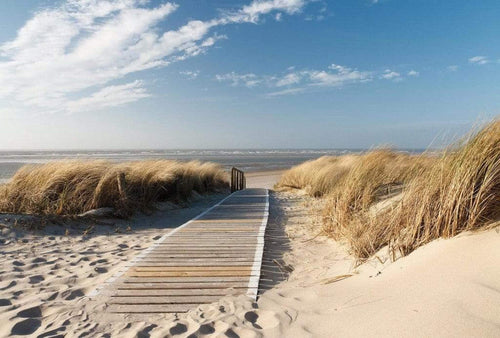 Wizard+Genius On the Baltic Sea Papier Peint Intissé 384x260cm 8 bandes | Yourdecoration.fr