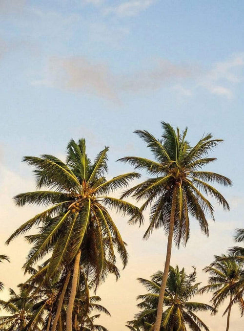 Wizard+Genius Take me to Ibiza Papier Peint Intissé 192x260cm 4 bandes | Yourdecoration.fr