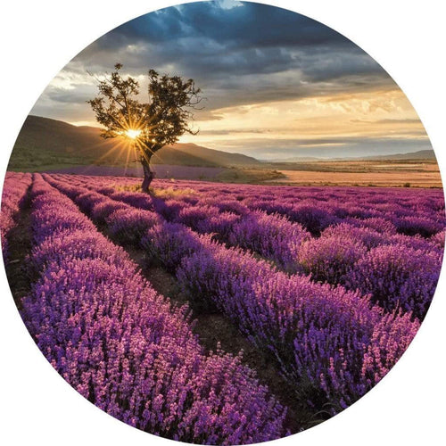 Wizard+Genius Lavender in the Provence Papier Peint Intissé 140x140cm rond | Yourdecoration.fr