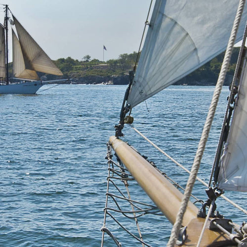 Komar Sailing Papier Peint National Geographic 368x254cm | Yourdecoration.fr