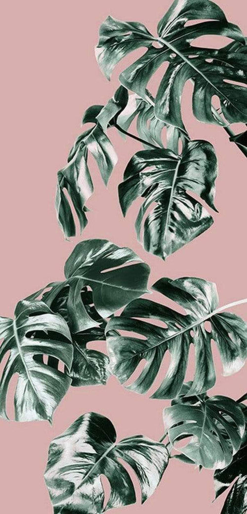 Komar Monstera Rose Groen Papier Peint Intissé 100x250cm 1 bande | Yourdecoration.fr