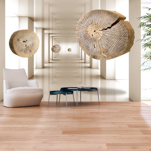 Papier Peint - Flying Discs of Wood - Intissé