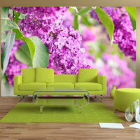 Papier Peint - Lilac Flowers - Intissé