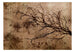 Papier Peint - Rickety Cherry Tree - Intissé