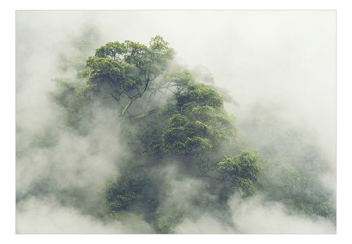 Papier Peint - Foggy Amazon - Intissé