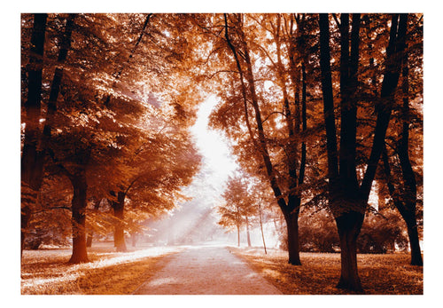 Papier Peint - Autumn Park - Intissé