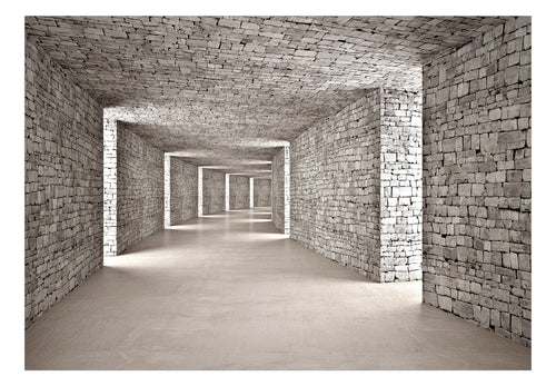 Papier Peint - Mysterious Tunnel - Intissé