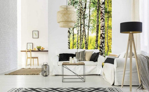 Dimex Birch Path Papier Peint 150x250cm 2 bandes ambiance | Yourdecoration.fr