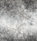 Dimex Branch Abstract Papier Peint 225x250cm 3 bandes | Yourdecoration.fr