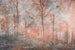 Dimex Colorful Forest Abstract Papier Peint 375x250cm 5 bandes | Yourdecoration.fr