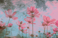 Dimex Pink Flower Abstract Papier Peint 375x250cm 5 bandes | Yourdecoration.fr