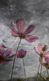 Dimex Violet Flower Abstract Papier Peint 150x250cm 2 bandes | Yourdecoration.fr