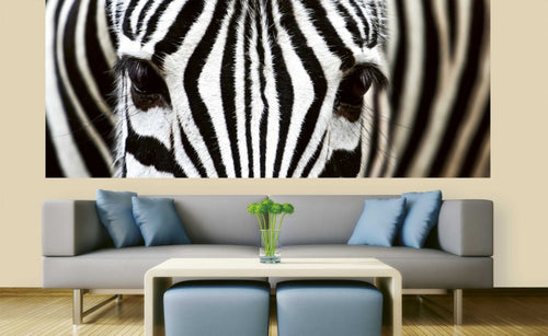 Dimex Zebra Papier Peint 375x150cm 5 bandes ambiance | Yourdecoration.fr