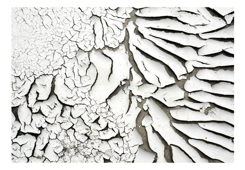 Papier Peint - Signs of the Time - Intissé