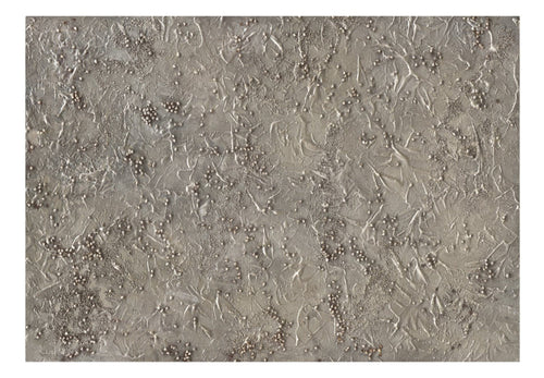 Papier Peint - Silver Serenade - Intissé