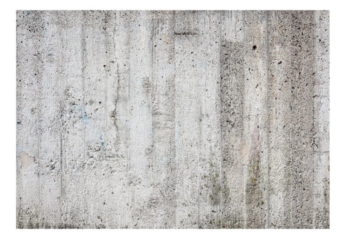Papier Peint - Grey Emperor - Intissé