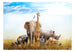 Papier Peint - Fauna of Africa - Intissé