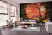 Komar Intisse Papier Peint Iax10 0021 Brachiosaurus Panorama Interieur | Yourdecoration.fr