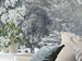 Komar Intisse Papier Peint R4 060 Fairytale Forest Int Detail | Yourdecoration.fr