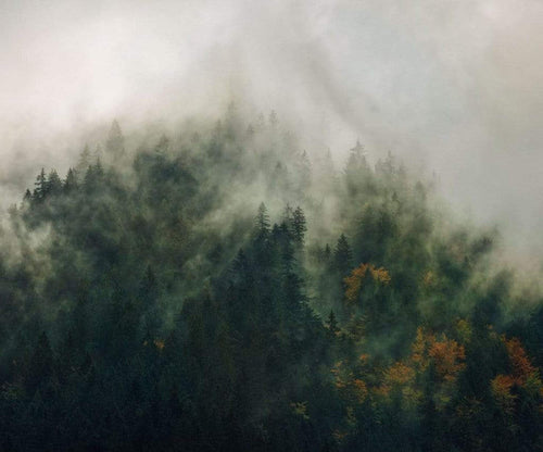 Komar Tales of the Carpathians Papier Peint Intissé 300x250cm 3 bandes | Yourdecoration.fr
