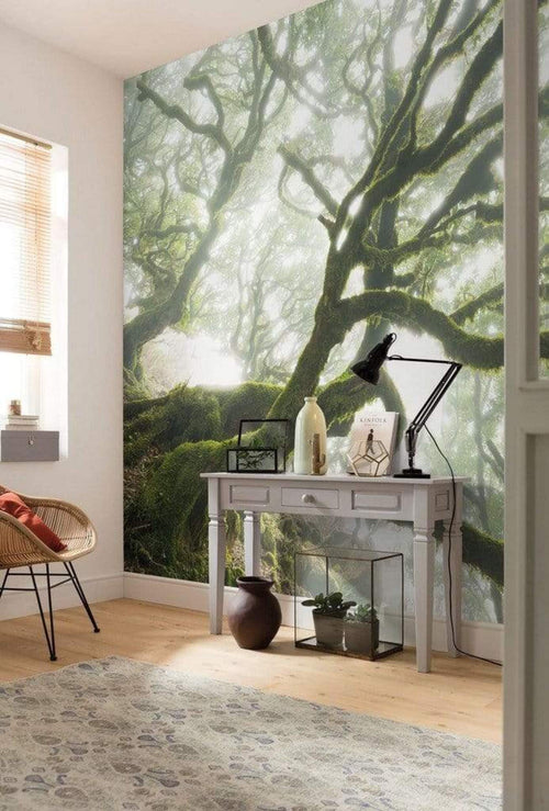 Komar The Forgotten Forest Papier Peint Intissé 400x250cm 4 bandes ambiance | Yourdecoration.fr