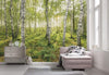 Komar Birch Trees Papier Peint Intissé 400x250cm 4 bandes ambiance | Yourdecoration.fr