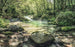 Komar Tranquil Pool Papier Peint Intissé 400x250cm 4 bandes | Yourdecoration.fr