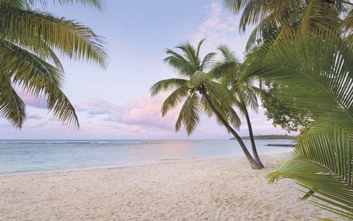Komar Paradise Morning Papier Peint Intissé 400x250cm 4 bandes | Yourdecoration.fr