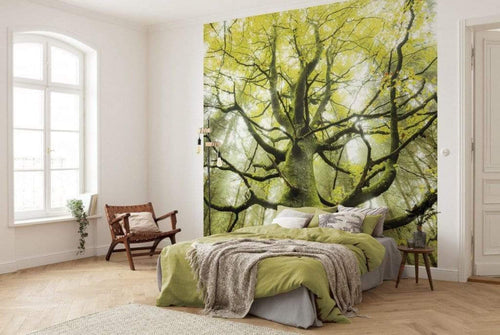 Komar Der Traumbaum Papier Peint Intissé 300x280cm 6 bandes ambiance | Yourdecoration.fr