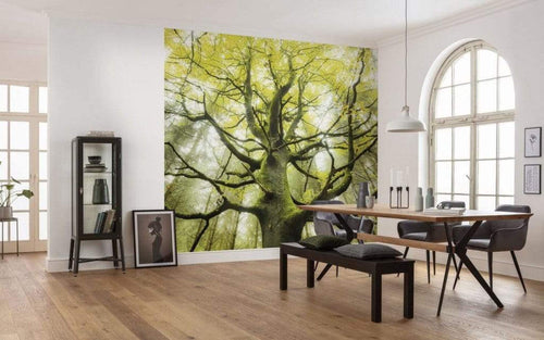 Komar Der Traumbaum Papier Peint Intissé 450x280cm 9 bandes ambiance | Yourdecoration.fr