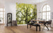 Komar Der Traumbaum Papier Peint Intissé 450x280cm 9 bandes ambiance | Yourdecoration.fr