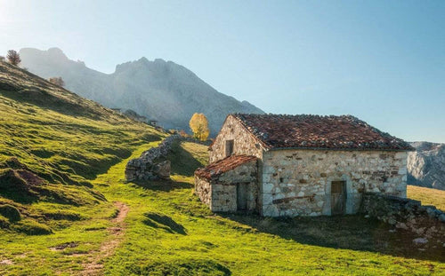 Komar Picos de Europe Alm Papier Peint Intissé 450x280cm 9 bandes | Yourdecoration.fr