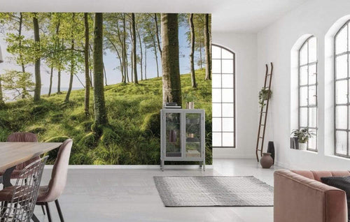 Komar Zauberhaftes Buchenspektakel Papier Peint Intissé 450x280cm 9 bandes ambiance | Yourdecoration.fr