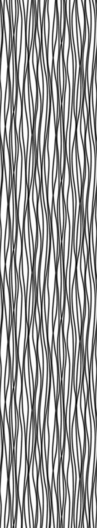 Komar Zebra Papier Peint 50x270cm 1 bande | Yourdecoration.fr