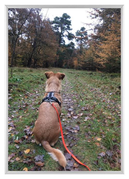 Aurora Aluminium Cadre Photo 21x29 7cm A4 lot de 3 Argent De Face Photo | Yourdecoration.fr