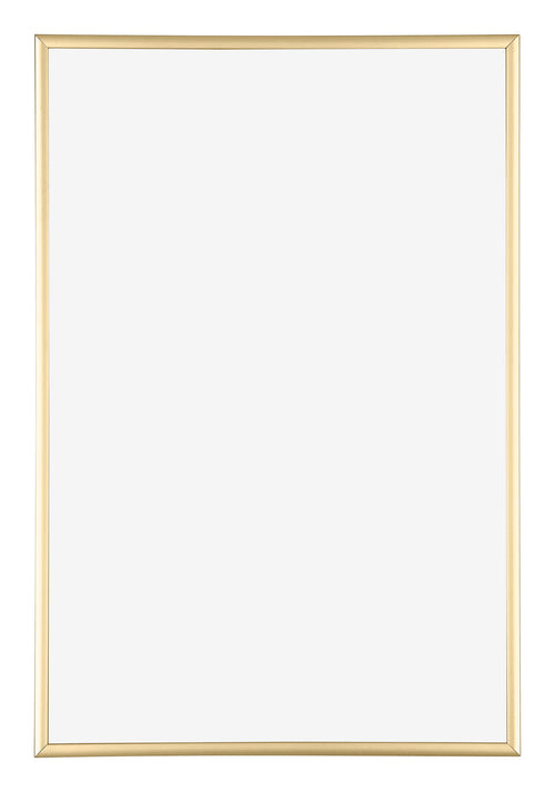 Austin Aluminium Cadre Photo 61x91 5cm Or Brillant De Face | Yourdecoration.fr