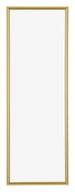 Annecy Plastique Cadre Photo 37 5x98cm Or De Face | Yourdecoration.fr